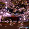 弘前公園の夜-Ⅶ