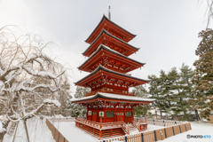 ２０２６年初撮り