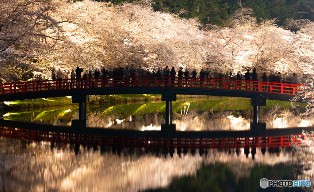 弘前公園の夜-Ⅹ