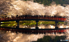 弘前公園の夜-Ⅹ