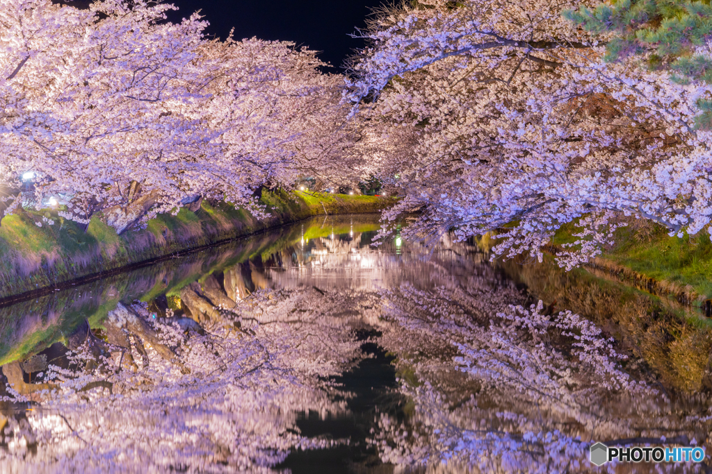 弘前公園の夜-Ⅸ