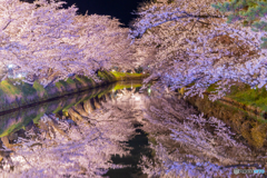 弘前公園の夜-Ⅸ