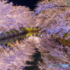 弘前公園の夜-Ⅸ