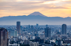 東京タワーから富士山を望む