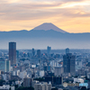 東京タワーから富士を臨む