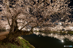 弘前公園の夜₋Ⅰ