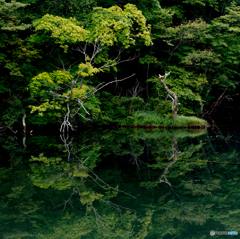 reflection-Ⅱ（再編集）