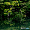 reflection-Ⅱ（再編集）