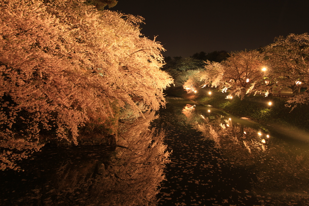 弘前公園にてーⅥ