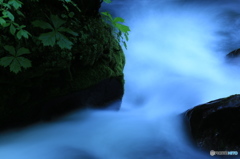 新緑の流れ