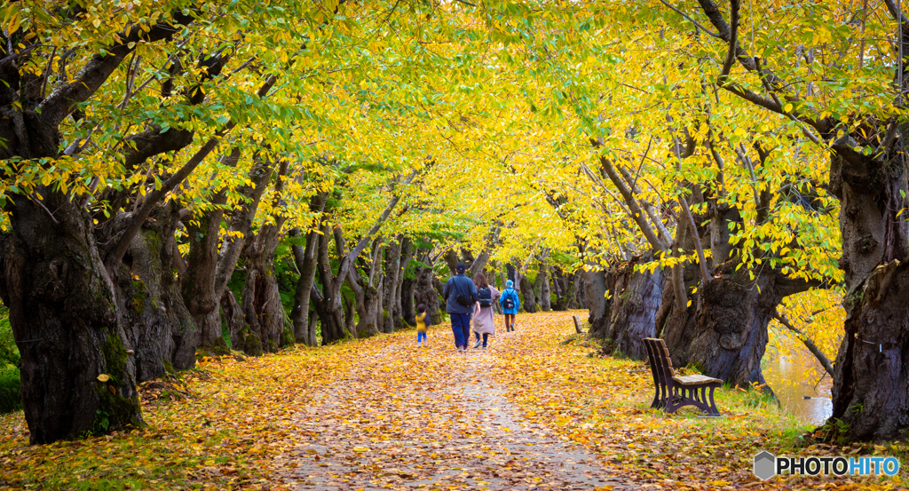 弘前公園 西濠にて