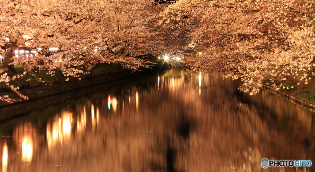 弘前公園の夜