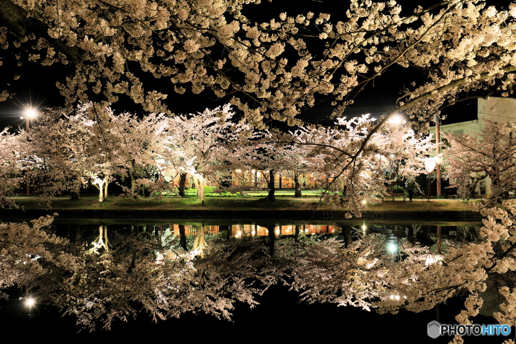 弘前公園にて-Ⅲ