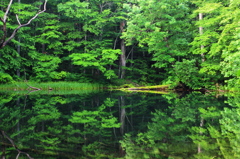 ７月の月沼