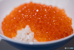 朝食ビュッフェにて-Ⅳ