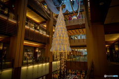 東京ミッドタウンにて‐Ⅳ