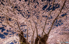 弘前公園の夜-Ⅺ