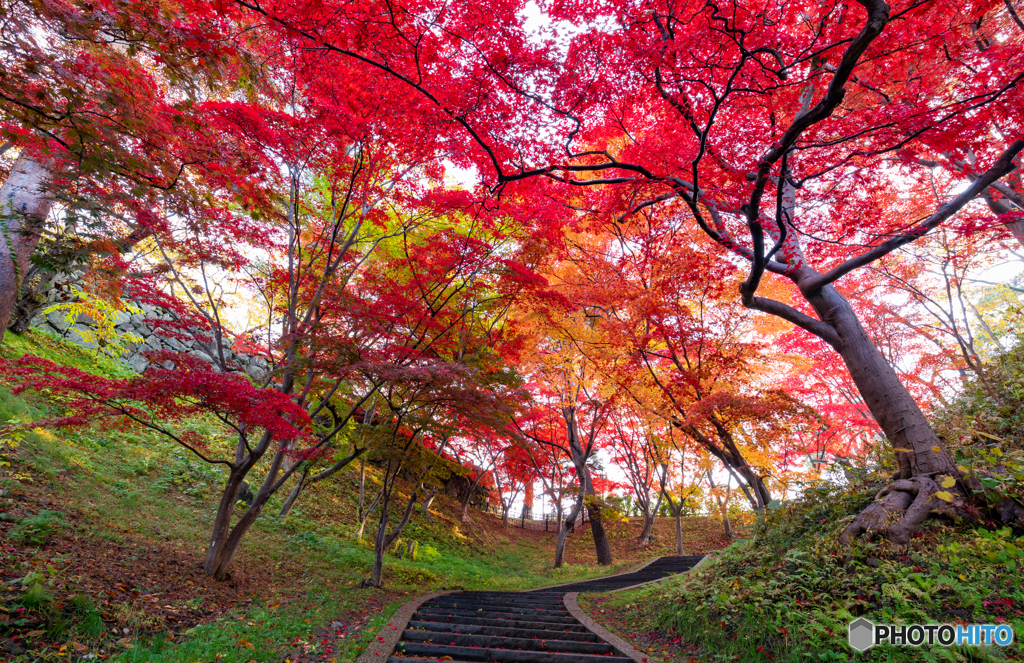 弘前公園の秋-Ⅻ