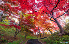 弘前公園の秋-Ⅻ