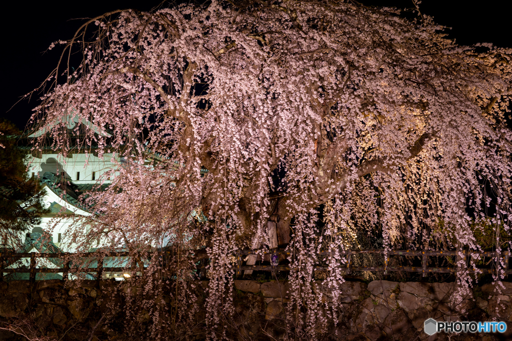 弘前公園の夜-Ⅴ