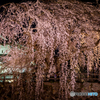弘前公園の夜-Ⅴ