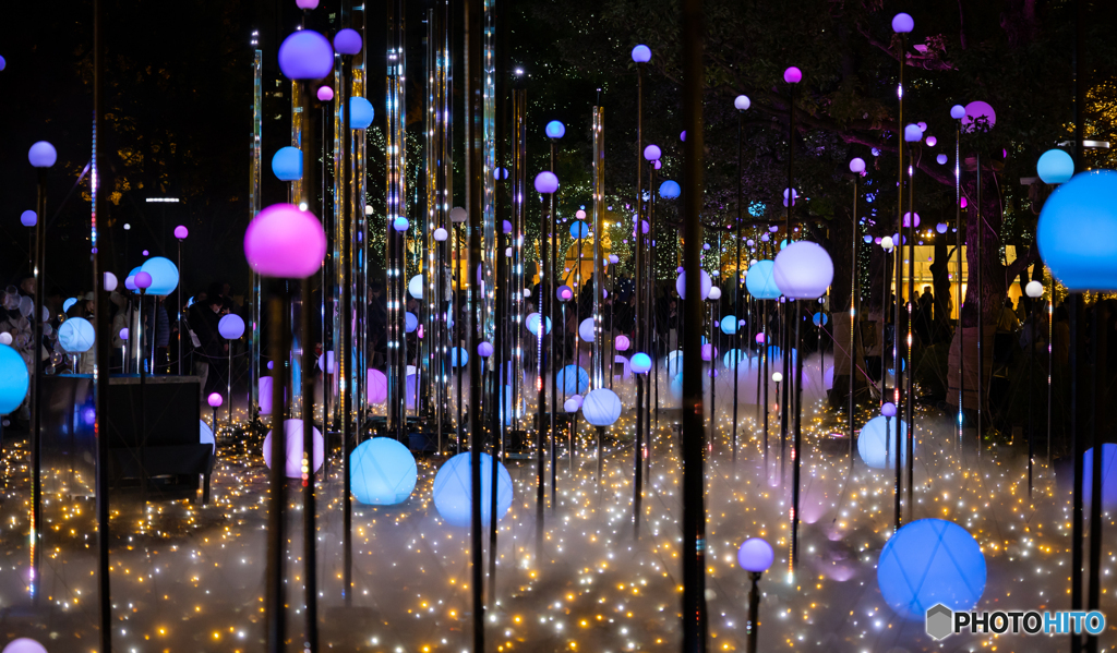 東京ミッドタウンガーデンにて