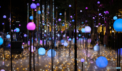 東京ミッドタウンガーデンにて