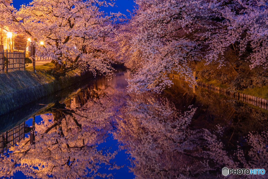 弘前公園外濠にて‐Ⅰ