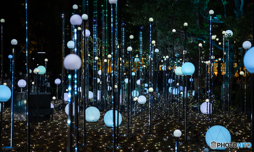 東京ミッドタウンガーデンにて‐Ⅱ