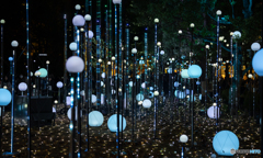 東京ミッドタウンガーデンにて‐Ⅱ