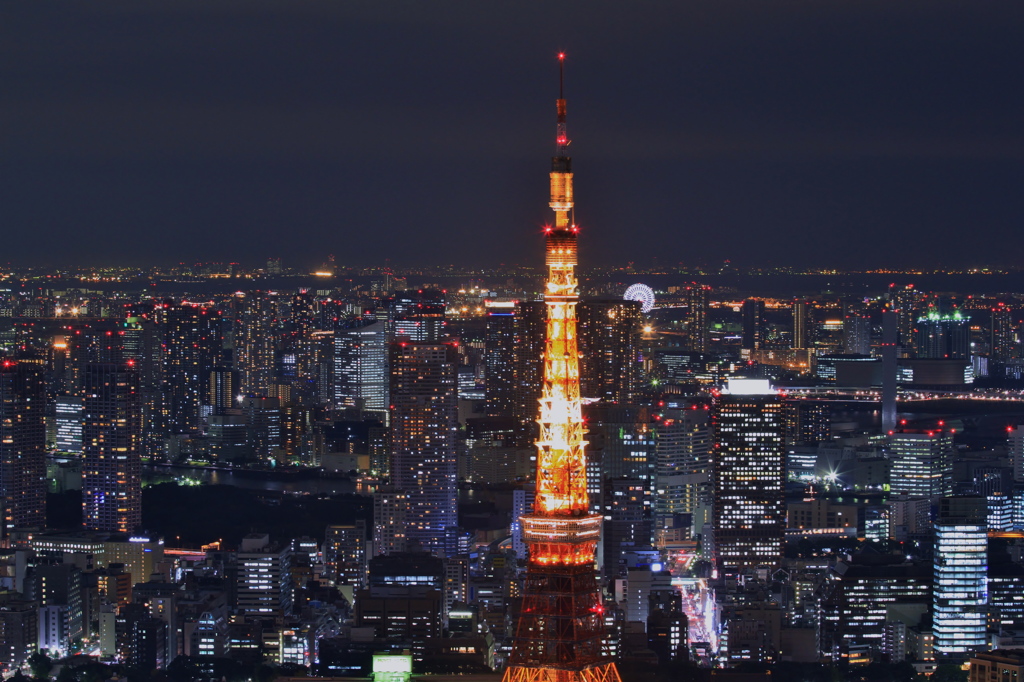 Impression of Tokyo(8)