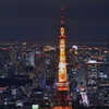 Impression of Tokyo(8)