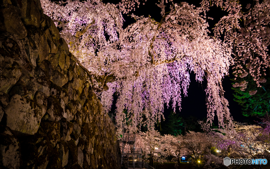 弘前公園にて