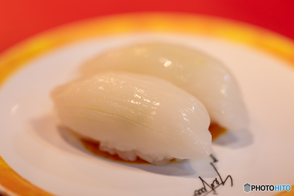 紋甲イカの魅力