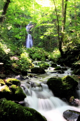 奥入瀬渓流　雲井の滝