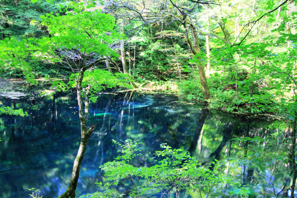 沸壷（わきつぼ）の池にて