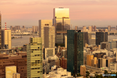 東京タワーからの夕景-Ⅰ