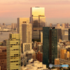 東京タワーからの夕景-Ⅰ