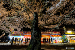 弘前公園の夜-15