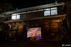弘前公園の夜-16