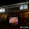 弘前公園の夜-16