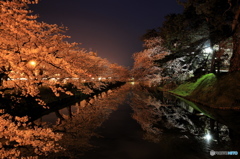 弘前公園～静寂の夜明け前～