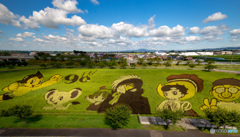 田舎館村 田んぼアート2018