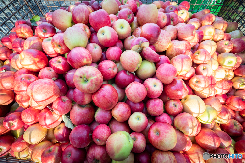 訳アリapples