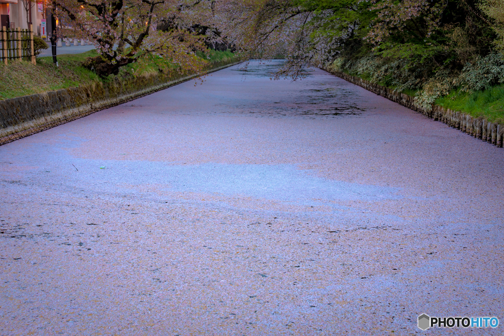 静寂の弘前公園-20