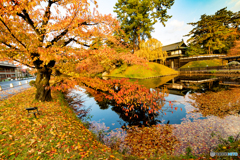弘前公園の秋-Ⅶ