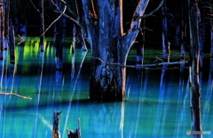 思い出の青い池