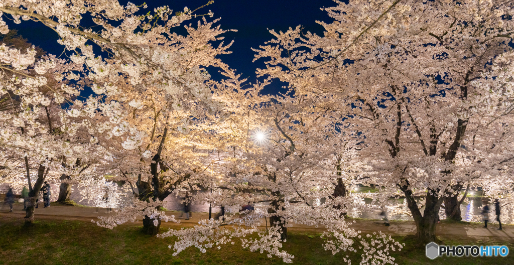 弘前公園西濠にて-Ⅷ