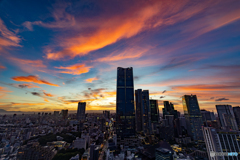 東京タワーからの夕景₋Ⅱ