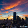 東京タワーからの夕景Ⅱ